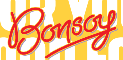 Bonsoy